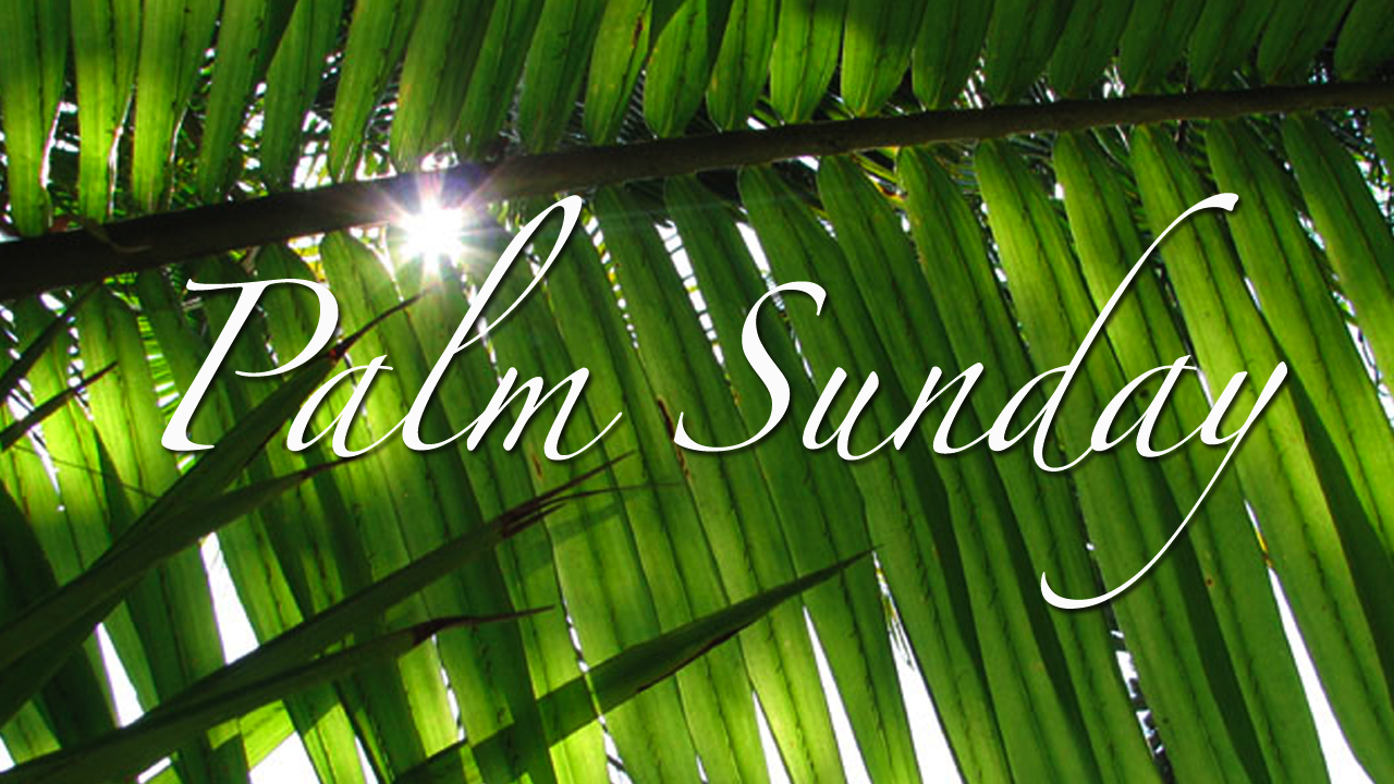 palm-sunday-title-slide053.jpg